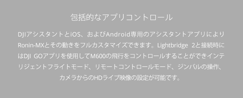 包括的なアプリコントロール