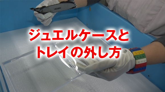 楽天市場】ジュエルペット ジュエルポッドダイアモンド 専用